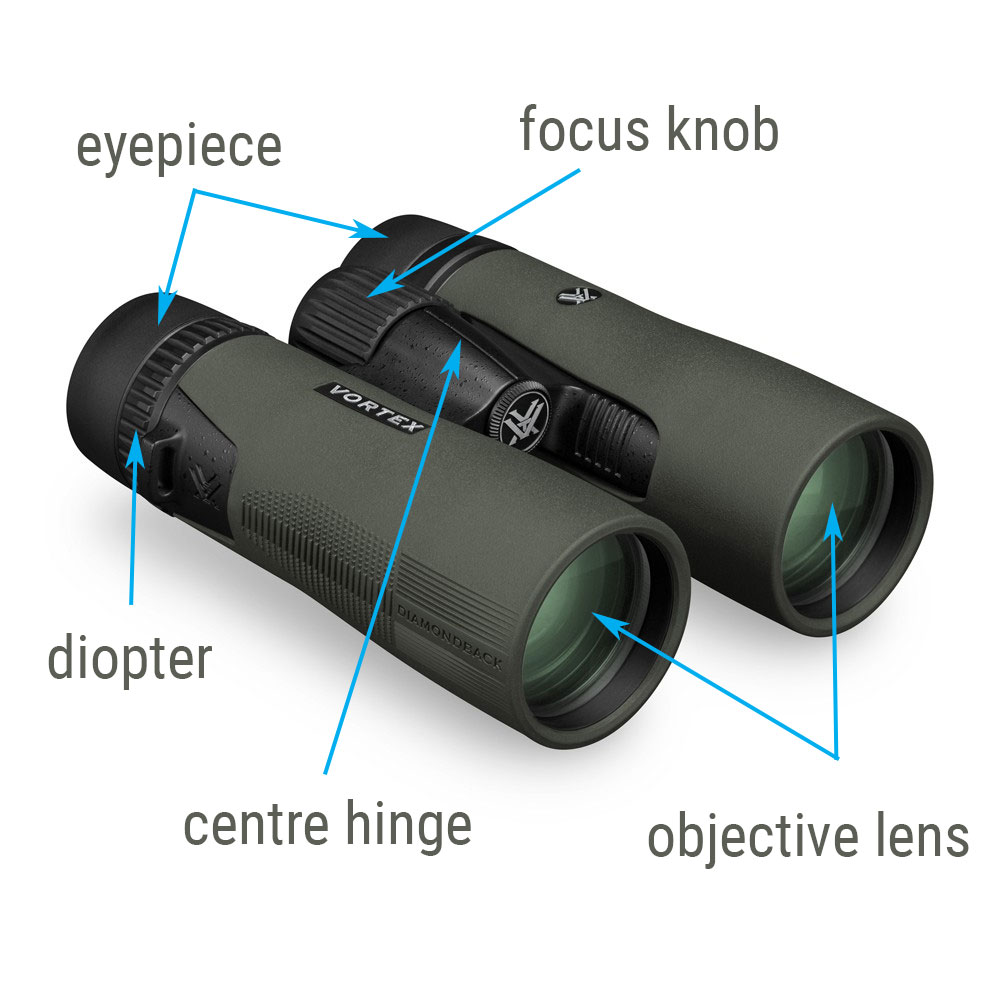 binocular_parts_diagram