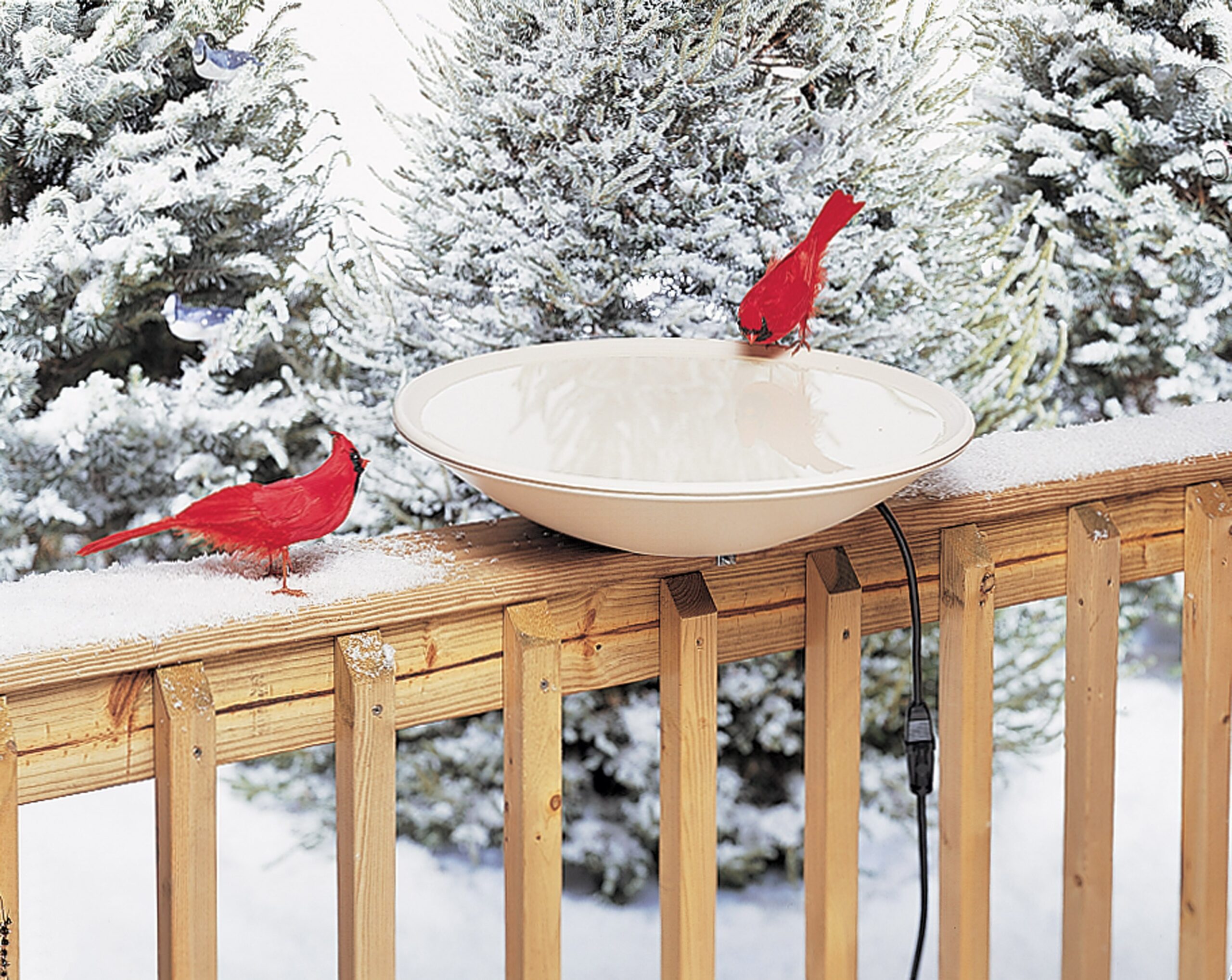 PROVIDING WATER FOR BIRDS IN THE WINTER