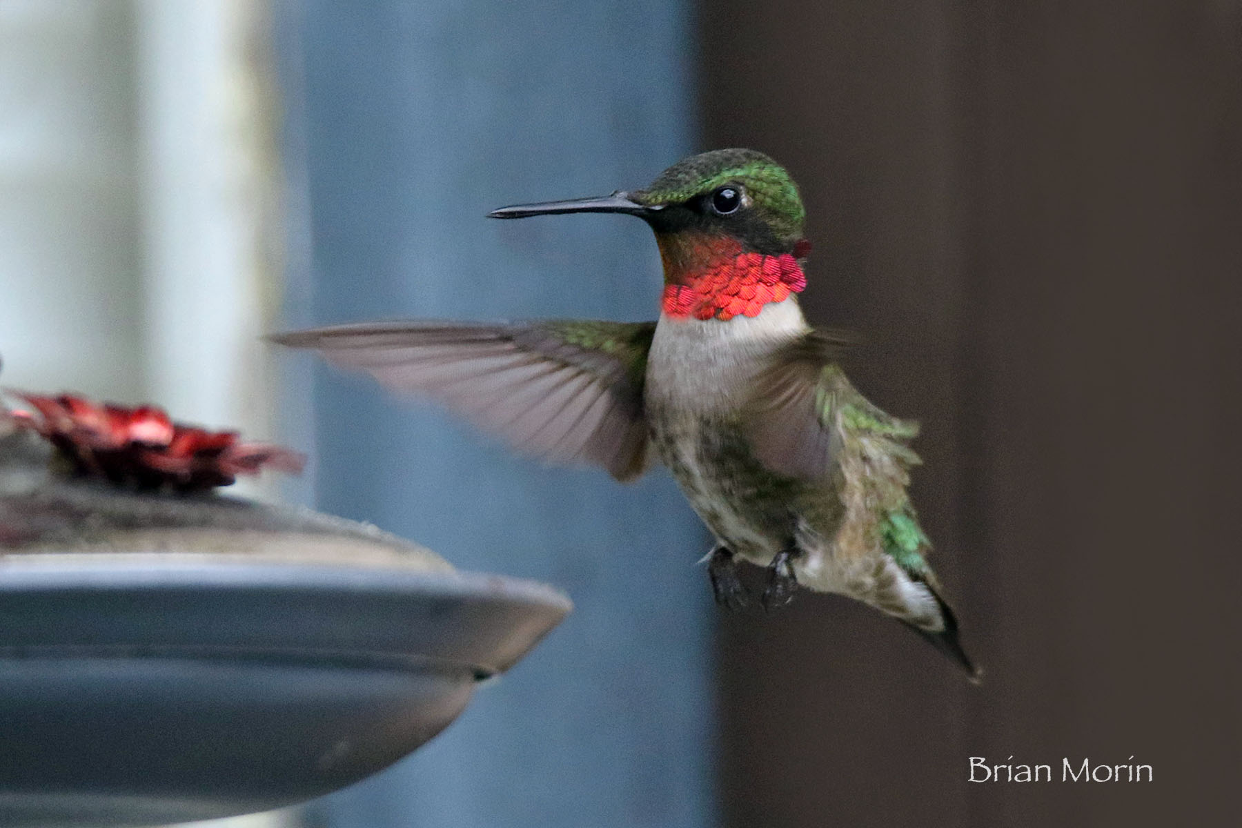 Spring is Humming Along